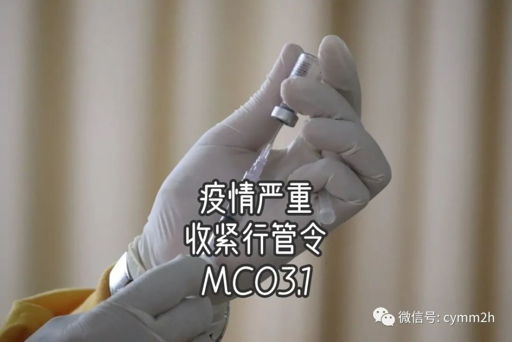 STAR SPORTS下载-摩纳哥双子星配合默契破纪录  